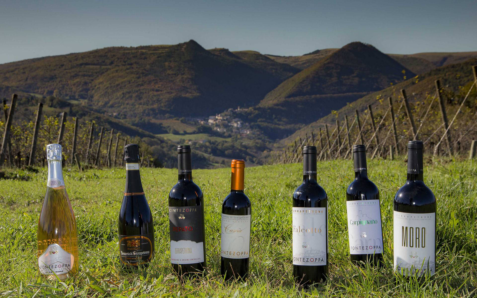 Fontezoppa La Botega del vin lendinara